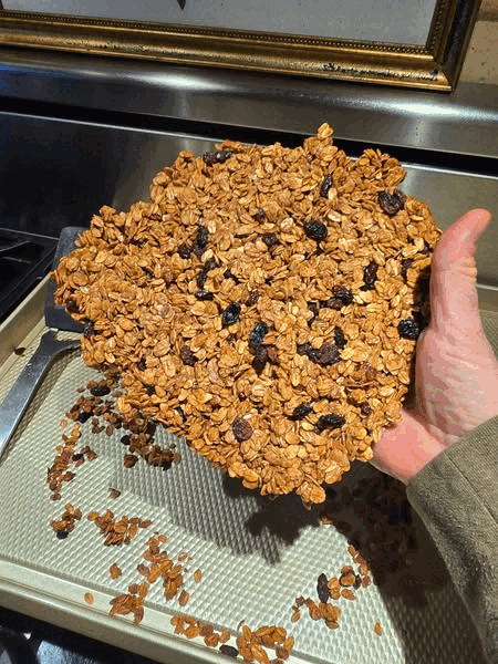 Light Running Endurance Fuel: Cinnamon Raisin Granola (Low Fat High Carb) - Photo 1